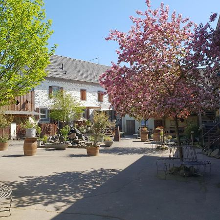 Besondere Ferienwohnung Spirit Auf Idyllischem Reiterhof Nahe Burg Eltz Münstermaifeld Kültér fotó