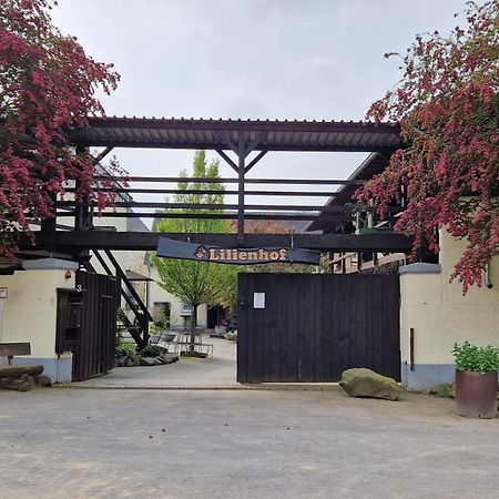 Besondere Ferienwohnung Spirit Auf Idyllischem Reiterhof Nahe Burg Eltz Münstermaifeld Kültér fotó