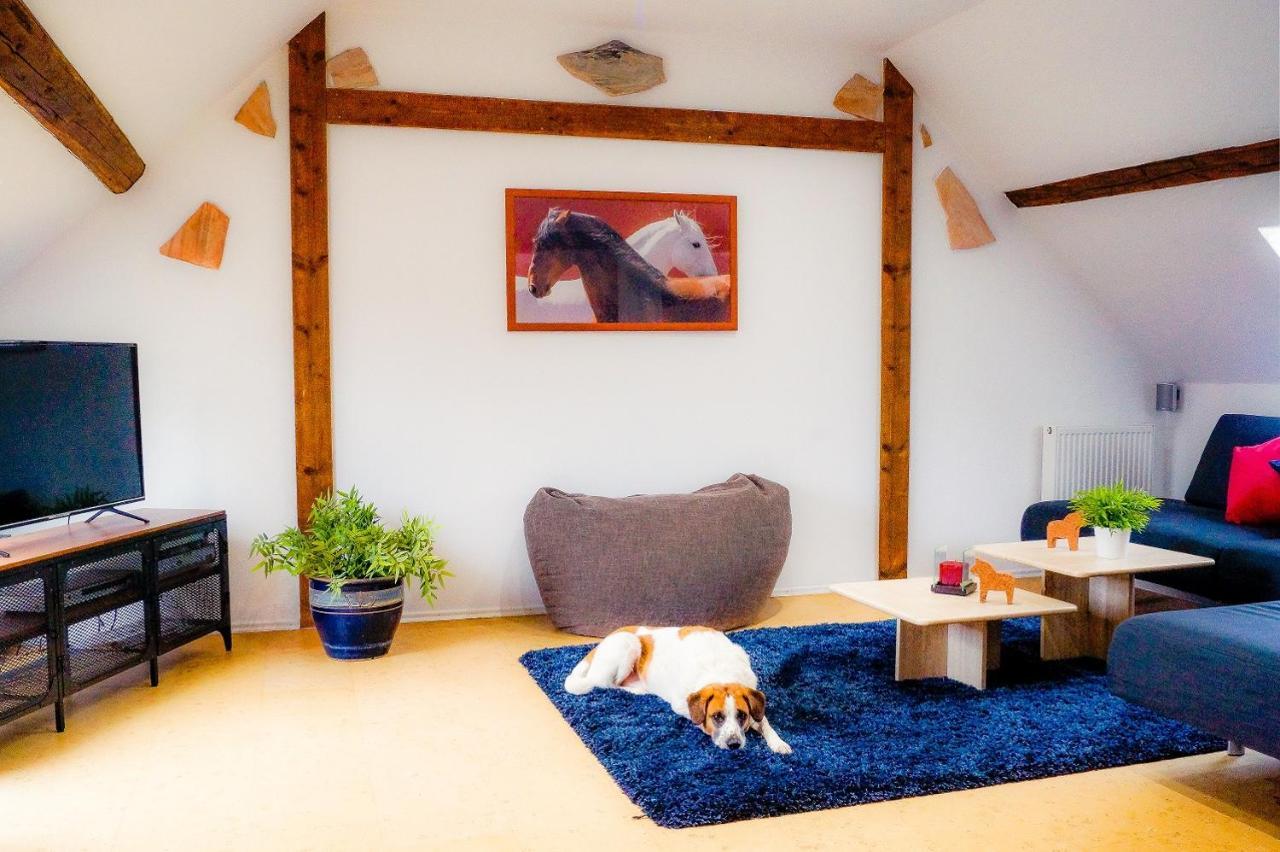 Besondere Ferienwohnung Spirit Auf Idyllischem Reiterhof Nahe Burg Eltz Münstermaifeld Kültér fotó
