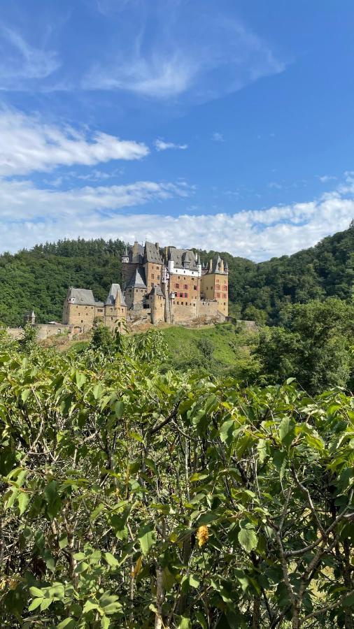 Besondere Ferienwohnung Spirit Auf Idyllischem Reiterhof Nahe Burg Eltz Münstermaifeld Kültér fotó